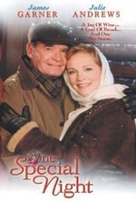Watch One Special Night kostenlos online.