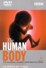 Ver El cuerpo humano (BBC) en línea de forma gratuita.