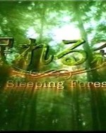 Смотреть A Sleeping Forest онлайн бесплатно.